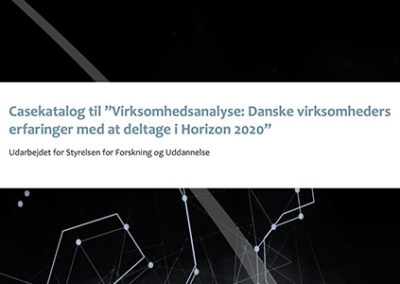 Casekatalog til virksomhedsanalyse af Danske virksomheders deltagelse i Horizon 2020