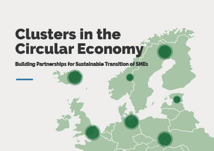 Clusters in Circular Economy