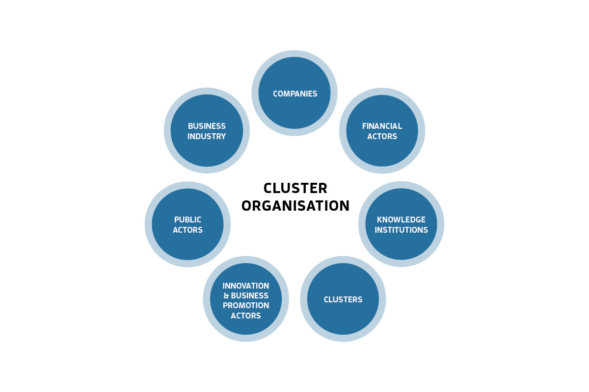 cluster_organisation_graphics