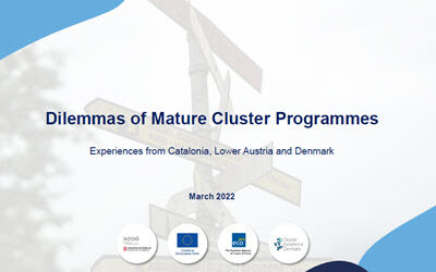 Ny publikation: Dilemmas of Mature Cluster Programmes
