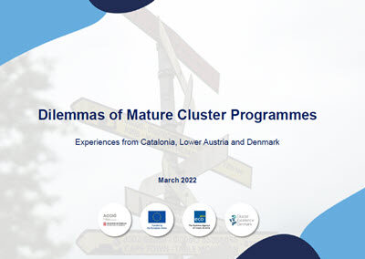 Dilemmas of Mature Cluster Programmes